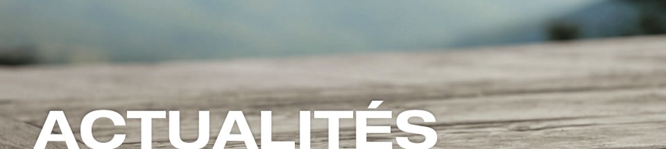 Actualit&eacute;s Droit du Travail